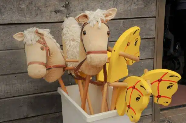 accessoires cheval bâton, hobby horse